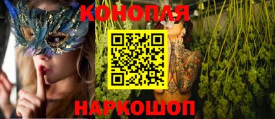 гидропоника Будённовск