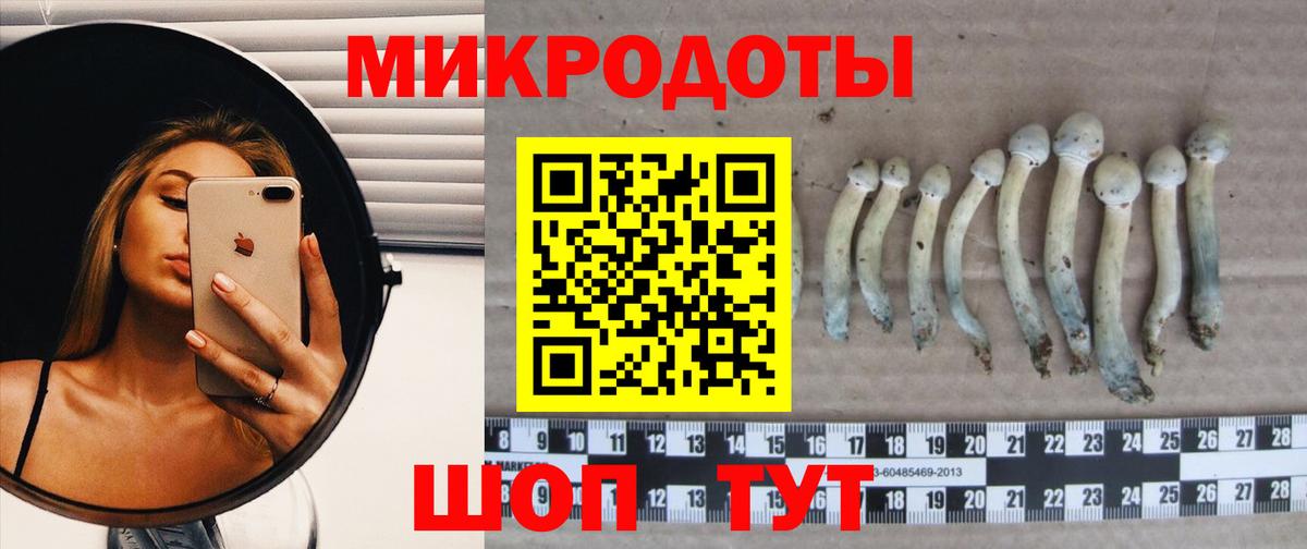 Псилоцибиновые грибы прущие грибы  Галлюциногенные грибы мицелий  Вход с VPN  Карабулак 